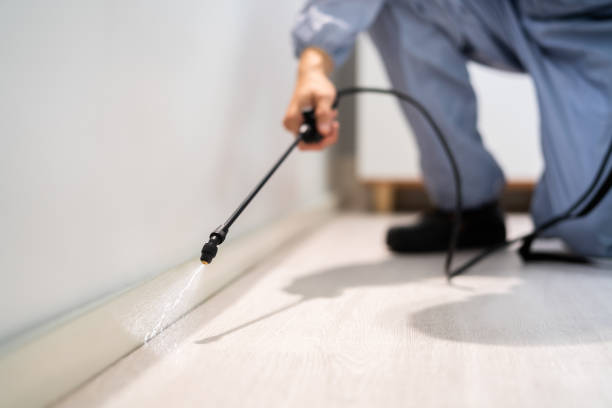 Licensed Termite Control service in Webster, FL - Show Me Pest Control