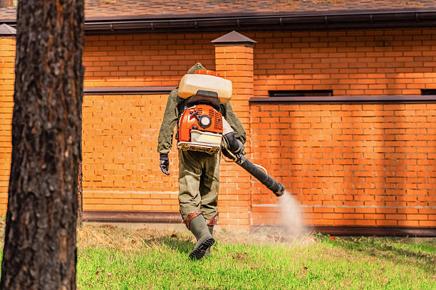 Bed Bug Clearance Verification and Documentation in Webster